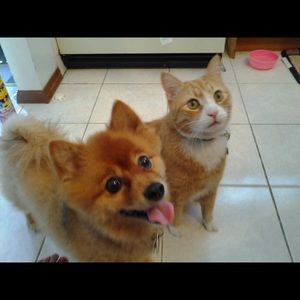 Meet your Posher, Terry